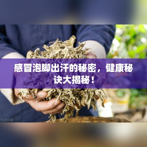 志在四方 第8页