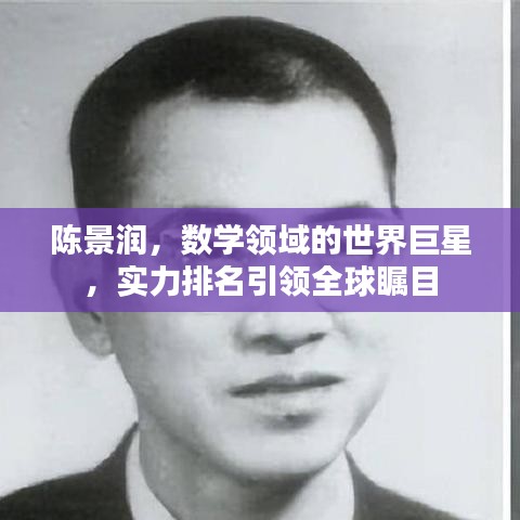 陈景润，数学领域的世界巨星，实力排名引领全球瞩目