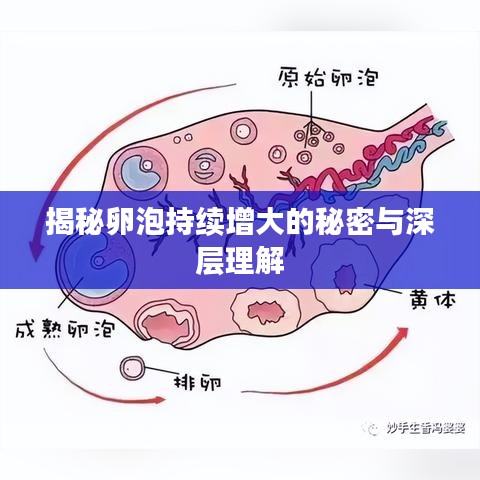 不求甚解 第7页