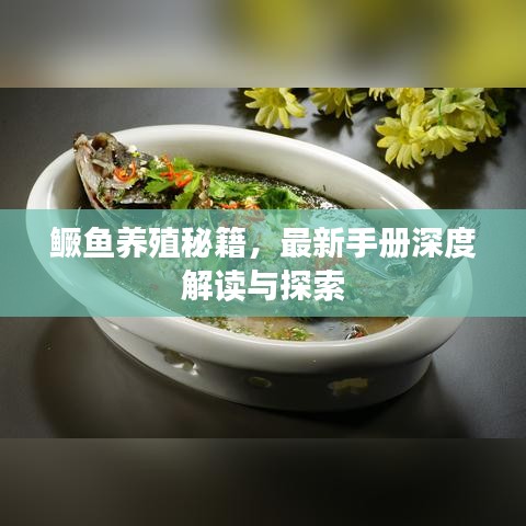 鳜鱼养殖秘籍,最新手册深度解读与探索