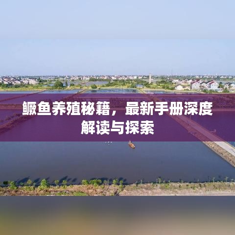 鳜鱼养殖秘籍,最新手册深度解读与探索