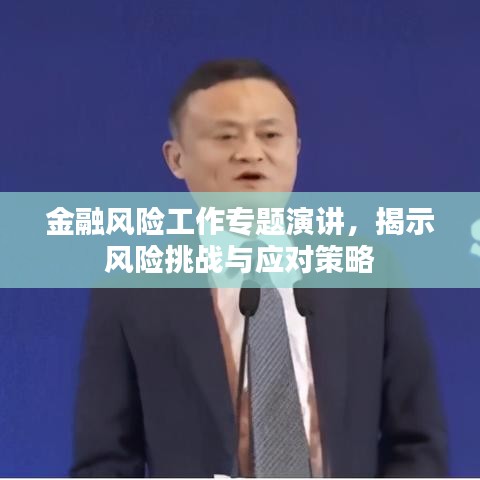 金融风险工作专题演讲,揭示风险挑战与应对策略