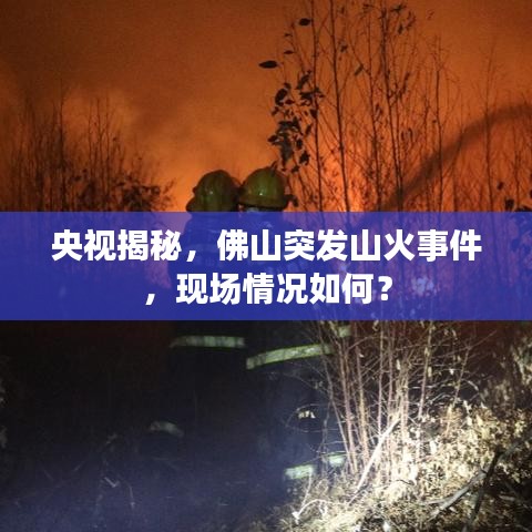 央视揭秘,佛山突发山火事件,现场情况如何?
