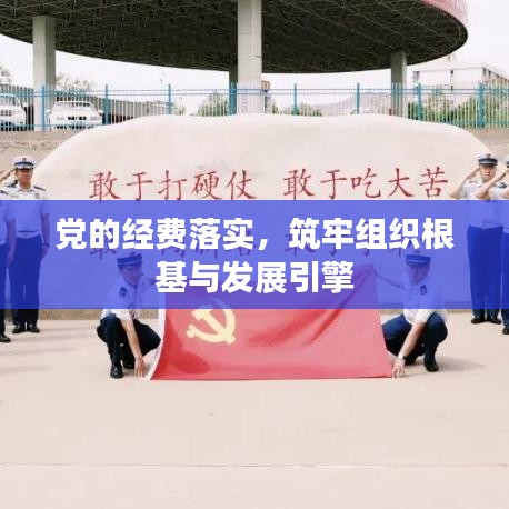 党的经费落实，筑牢组织根基与发展引擎