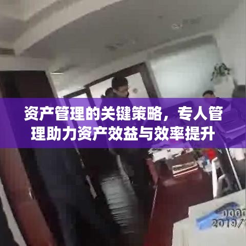 资产管理的关键策略,专人管理助力资产效益与效率提升