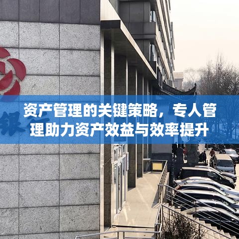 资产管理的关键策略,专人管理助力资产效益与效率提升