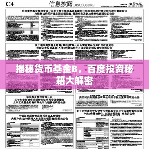 揭秘货币基金B,百度投资秘籍大解密