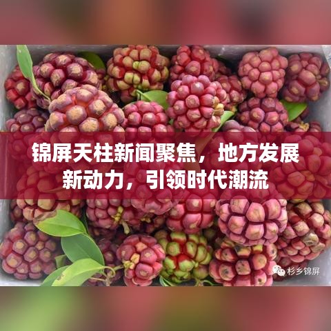 锦屏天柱新闻聚焦，地方发展新动力，引领时代潮流