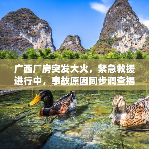 广西厂房突发大火,紧急救援进行中,事故原因同步调查揭秘