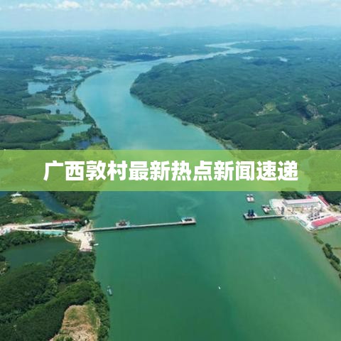 广西敦村最新热点新闻速递