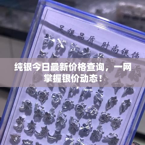 纯银今日最新价格查询，一网掌握银价动态！