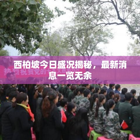 西柏坡今日盛况揭秘，最新消息一览无余