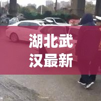 湖北武汉最新动态速递