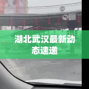 湖北武汉最新动态速递