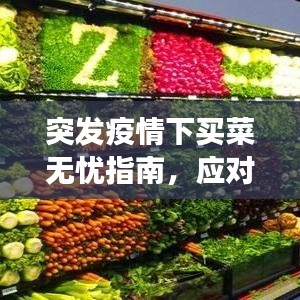 突发疫情下买菜无忧指南,应对蔬菜短缺的有效方法