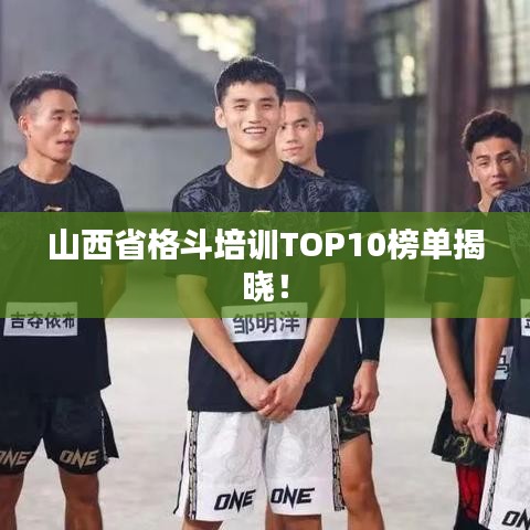 山西省格斗培训TOP10榜单揭晓!