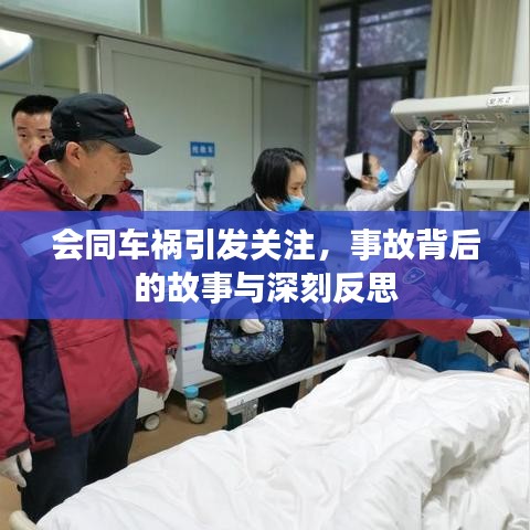 会同车祸引发关注，事故背后的故事与深刻反思