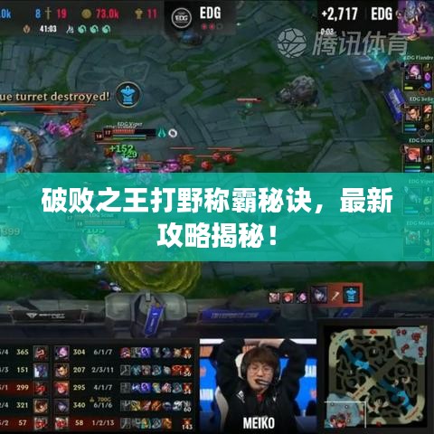 破败之王打野称霸秘诀，最新攻略揭秘！