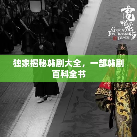 独家揭秘韩剧大全,一部韩剧百科全书