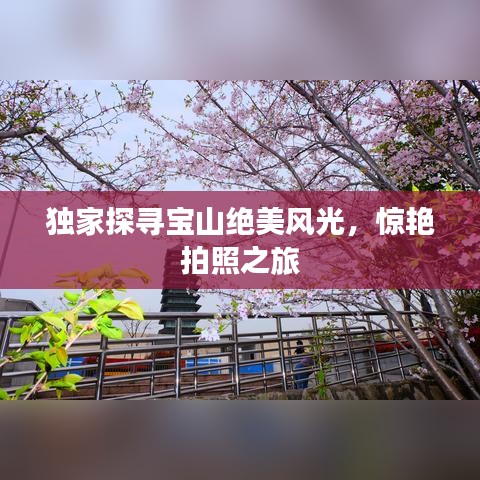 独家探寻宝山绝美风光，惊艳拍照之旅