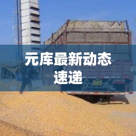 元库最新动态速递