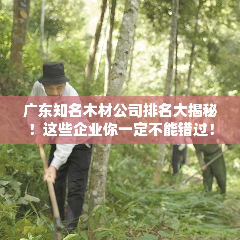广东知名木材公司排名大揭秘!这些企业你一定不能错过!