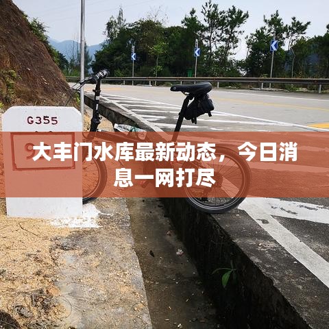 大丰门水库最新动态,今日消息一网打尽