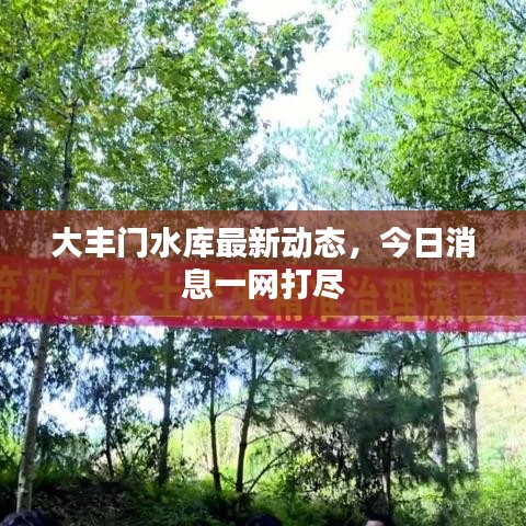 大丰门水库最新动态,今日消息一网打尽