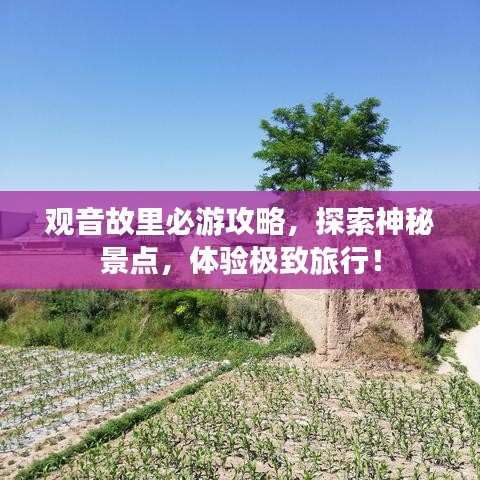 观音故里必游攻略，探索神秘景点，体验极致旅行！