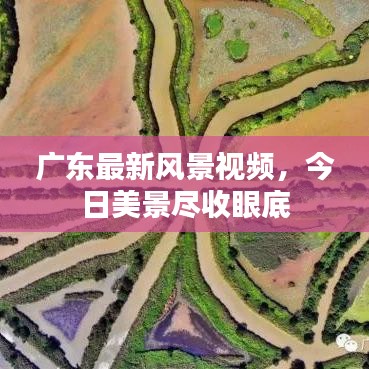 广东最新风景视频,今日美景尽收眼底