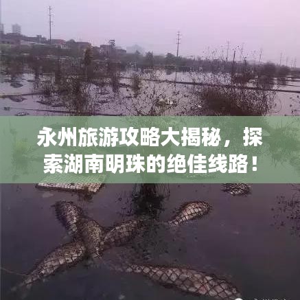 永州旅游攻略大揭秘,探索湖南明珠的绝佳线路!