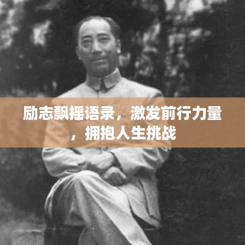 励志飘摇语录,激发前行力量,拥抱人生挑战