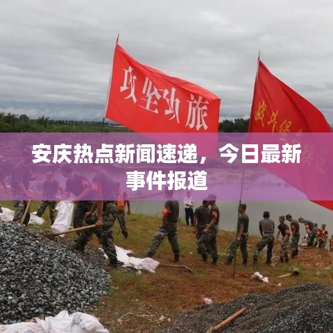 鸟惊鱼骇 第7页