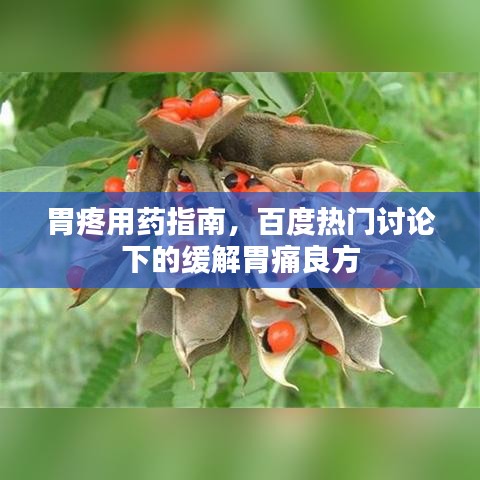 胃疼用药指南，百度热门讨论下的缓解胃痛良方