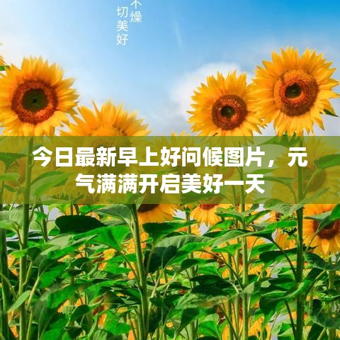今日最新早上好问候图片，元气满满开启美好一天