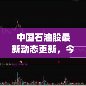 中国石油股最新动态更新，今日消息一览