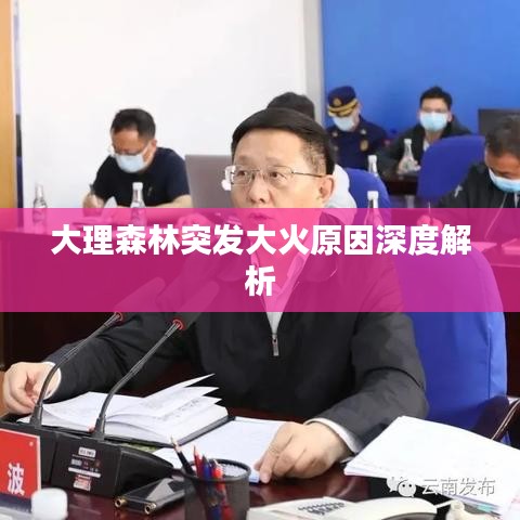 大理森林突发大火原因深度解析