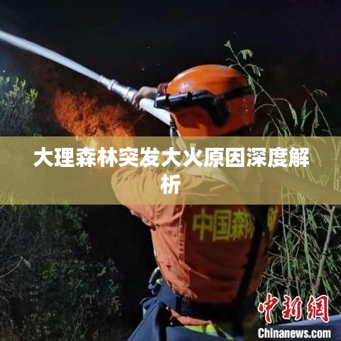 大理森林突发大火原因深度解析