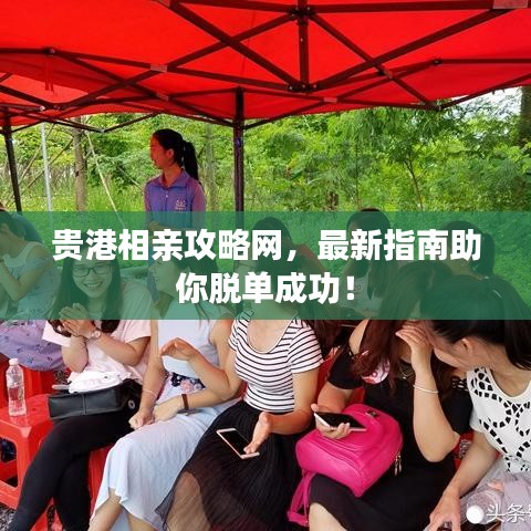 贵港相亲攻略网，最新指南助你脱单成功！