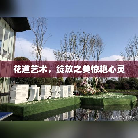 花道艺术,绽放之美惊艳心灵