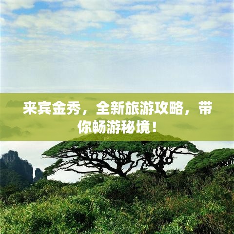 来宾金秀,全新旅游攻略,带你畅游秘境!