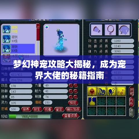 梦幻神宠攻略大揭秘,成为宠界大佬的秘籍指南