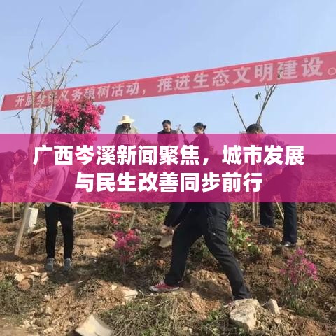 广西岑溪新闻聚焦，城市发展与民生改善同步前行