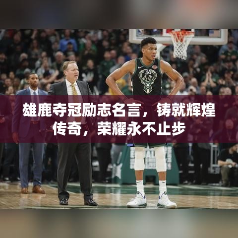雄鹿夺冠励志名言，铸就辉煌传奇，荣耀永不止步