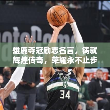 雄鹿夺冠励志名言,铸就辉煌传奇,荣耀永不止步