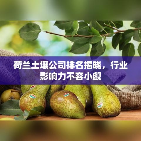 荷兰土壤公司排名揭晓,行业影响力不容小觑