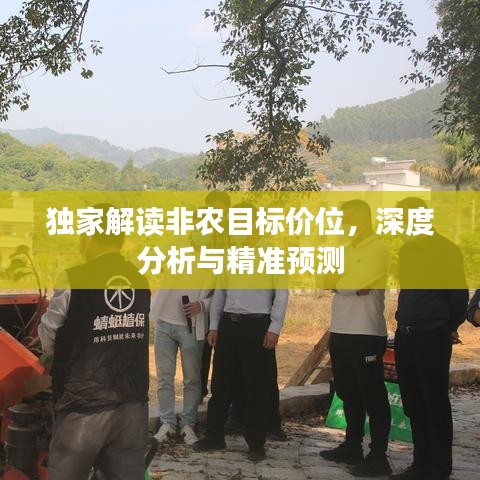 独家解读非农目标价位,深度分析与精准预测