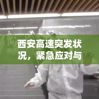 西安高速突发状况,紧急应对与处理措施