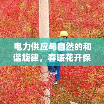 电力供应与自然的和谐旋律，春暖花开保障电力不断供应