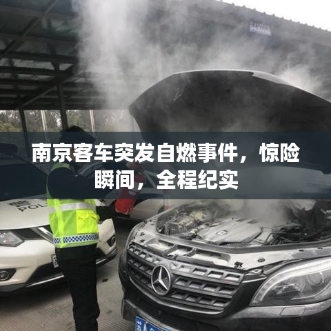 春蛙秋蝉 第7页